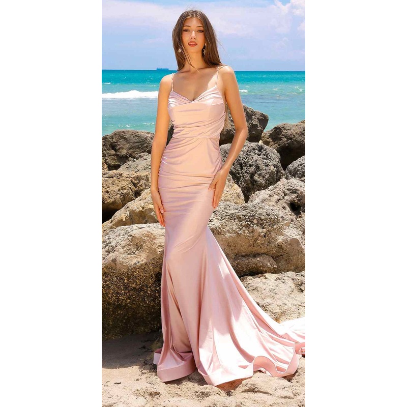 Amelia Couture 3012 Floor Length Fitted Sleeveless Corset Open Back Gown